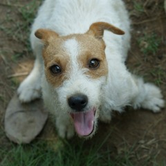 ฝืน-ลิปตา