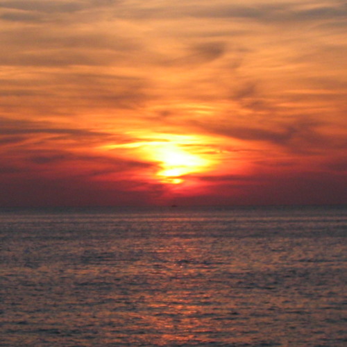 MIKROKOSMOS - SOME THOUGHTS (free download)
