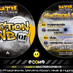 B2 Hypnotik -911[SECTION DNB 01]