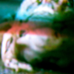 From Mars (Rough Take) Featuring (Songbird)