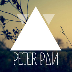 Wankelmut - One Day (PETER P∆И Remix) Preview