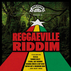 Reggaeville Riddim Megamix [out May 25th 2012] - mixed by Flowin Vibes