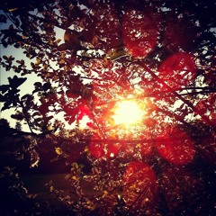 Coma (ft. M. Savvy & Rachelle)