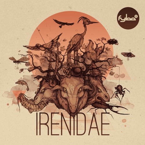 Fybe:one - Irenidae