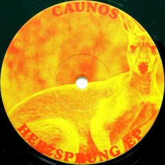 Caunos - The Rhythm