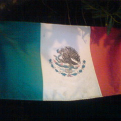 Yo soy mexicano alto rango