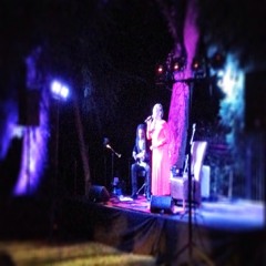 Cassandra Wilson private event for NBAF