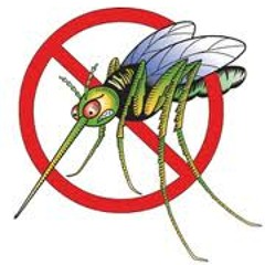 เพลงไข้เลือดออก