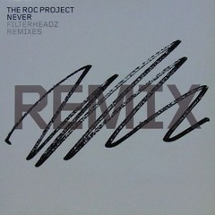 Never (2012 Teknartist Remix) - The Roc Project