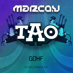 Marco V- GOHF original mix preview
