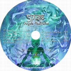 Shiva3 Project -  Crazy Heart