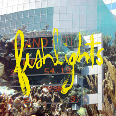 Fishlights - Fractales