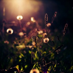 Quá khứ êm đềm - Lý Hải