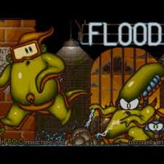 Flood