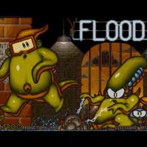 Flood
