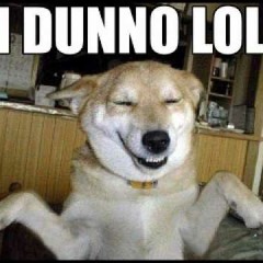 You've Just Gotta Laugh