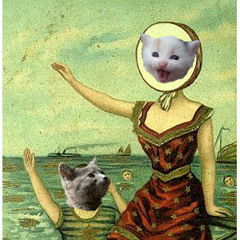 In the Aeroplane Over The Sea (Cover)