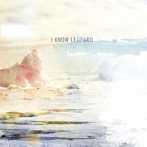 I Know Leopard - Embers