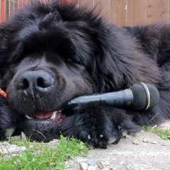 Buddy's Song faturing Kaisa on vocals