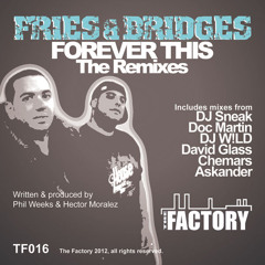 Fries & Bridges - Forever This (DJ WiLD Remix) (The Factory) (TF016)
