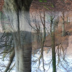 Stay where you are (bang bang you're dead)