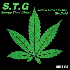 Sleepy Time Ghost - Nuthin But A 'G' Thang [ReDub]
