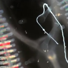 Mikenite - Lixadub (live hardware mix)