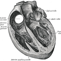 I've Come To Stop Your  <3