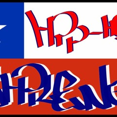 Koneccional tocopillana 2010