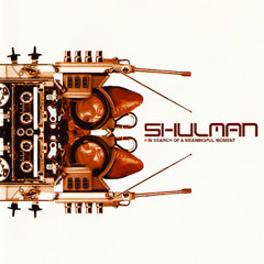 Shulman - Inner Selves - In Search Of A Meaningful Moment - 2003