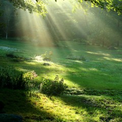 Farbton - Feels like Summer