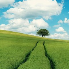 Get away from it all!