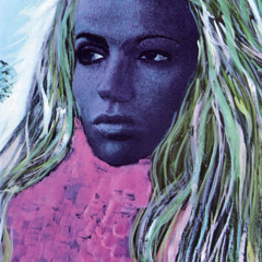 Gainesville Murders I Think it's Okay by Donald Posey and Steven Wickes