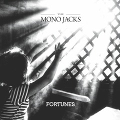 The Mono Jacks — Gândurile
