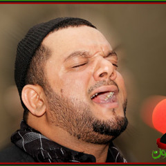 الشيخ حسين الأكرف - أنت الحرية - تربينا على درب حسينيه