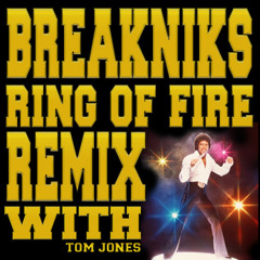 RING OF FIRE. the breakniks vindaloo 7 inch remix.