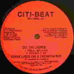 Do The James '88 by Super Lover Cee and Casanova Rud (album version)