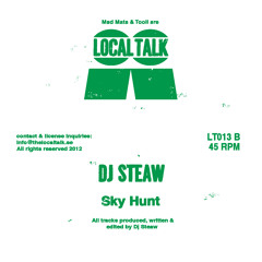 DJ Steaw - Sky Hunt (LT013, Side B)