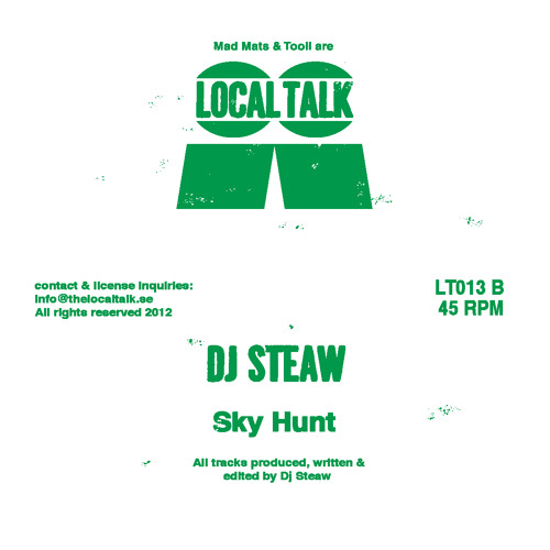 DJ Steaw - Sky Hunt (LT013, Side B)