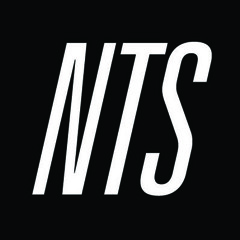 ARP 101 NTS Radio . You'll Soon Know Show . 22.05.2012