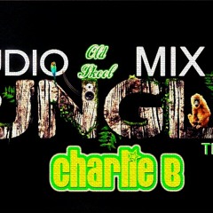 Audio Jungle Techno Mix