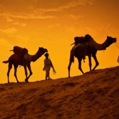 salt desert camels : by Giles Forrester