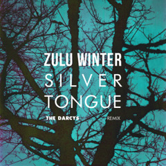 Zulu Winter - Silver Tongue (THE DARCYS Remix)