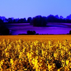 Polka Dots and Moonbeams (Model Melt Remix)