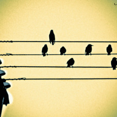 Clubbing Jesolo 12-05-2012 Lady Brian Dj Set