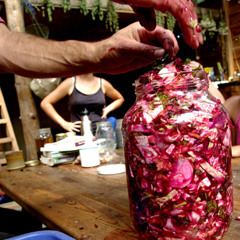 The Art of Fermentation