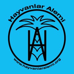 Hayvanlar Alemi - Kaptan Hayvanlar Alemi 2011
