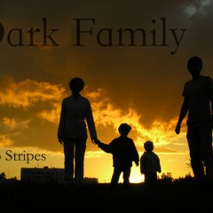 Two Stripes - Dark Family (Original Mix)
