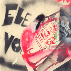 Evolution Revolution