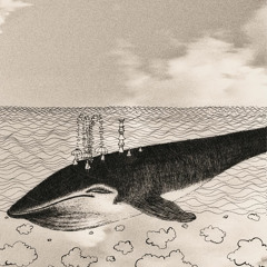 Полюса - На спине у кита